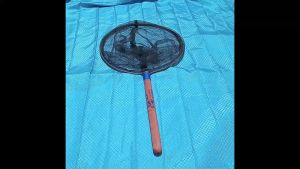 (Murah Meriah) Alat Jaring Serokan Ikan Diameter 40 cm