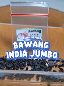 Benih Bawang India Jumbo Unggulan Berkualitas biji bibit repack bawang merah burgundy hydroponik hidroponik sayur sayuran tanaman pot