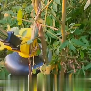 Pisau Alat Potong 3 Sikat Gigi Mata Pisau Mesin Potong Rumput 2 Tak Pemotong Pemangkas Pisau