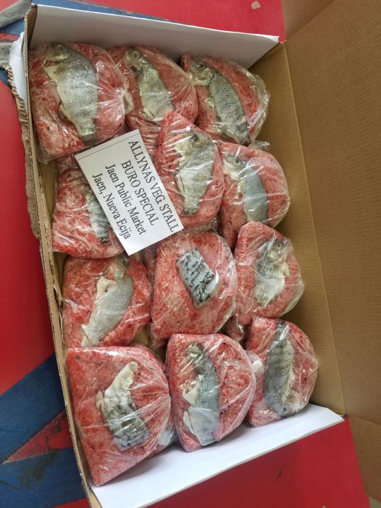 Burong Isda 5 Packs Hilaw Lazada PH