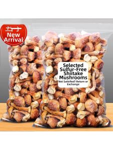 Premium Agaricus Blazei Drying Sliced Mushrooms Soup Ingredient