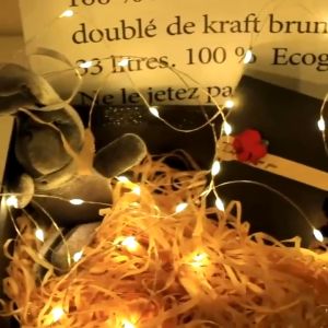 3M 30 LED String Light Waterproof Copper Cable Wire: Ideal for Party & Home Decor