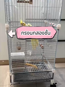 กรงนกขนาดใหญ่ สำหรับนกทุกขนาด กรงนกแก้ว พร้อมล้อและถาดเลื่อน กรงนกมัลติฟังก์ชัน กรงนกวิลล่าระดับสูง ถาดสามารถดึงออกมาได้ กรงชินชิล่า  กรงนกเข้ารหัส กันสนิม กรงนกวิลล่าขนาดใหญ่ กรงนกเพาะพันธุ์สุดหรู
