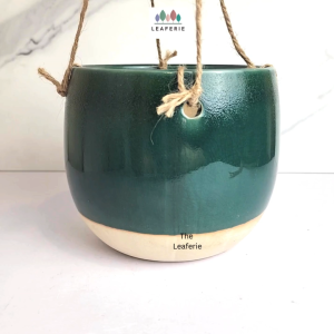 The Leaferie Lyon (Series 16) Hanging Flowerpot flowerpots . flower pot . plant pots . Ceramic