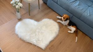Heart Shape Fluffy Plush Carpet Furry Faux Fur Rug Imitation Wool Tatami Non-slip Floor Mat Carpet for Bedroom Living Room Kids Room Sofa Cushion