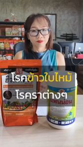 ต้นข้าว ใบไหม้ ใบจุด เมล็ดด่าง ถอดฝักดาบ รากเน่า โรคพืชต่างๆจากเชื้อรา กำจัดด้วยแพนน่อน และฮิวมิค FK