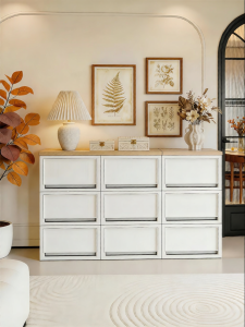 IRIS | Drawers Large Capacity Storage Box