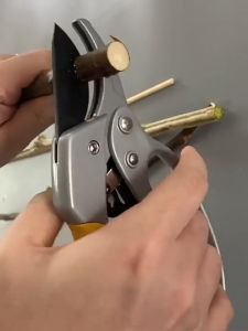 Germany imported pulley labor-saving pruning shears fruit tree garden shears thick branch shears branch shears flower wood grafting shears tools