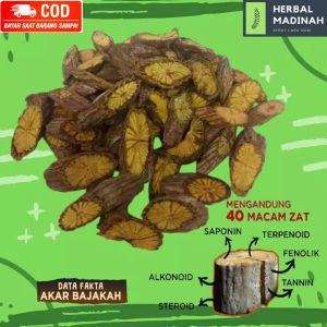 Akar Bajakah Kuning Herbal alami tanpa efek samping harga termurah seindonesia 500gr