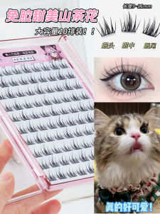Ruilin Shi Glue-Free Fake Eyelashes Large Capacity Camellia 5D Baby Bend Bean Bag Trilogy Artificial Nature Split Type