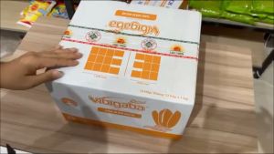 Gạo Mầm Nghệ Vibigaba Lộc Trời dành cho người tiểu đường tốt cho tiêu hóa 1kg