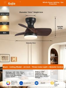 GUJIA | Vintage Fan and Light Fixture