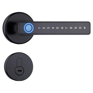 FALEISTON | Fingerprint and Password Smart Lock