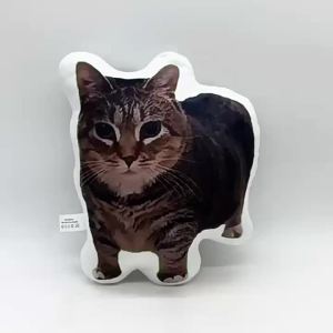 oiiai Internet celebrity cat funny alien pillow printed pillow high-quality stuffed plush cushion fans giftbirthday gift