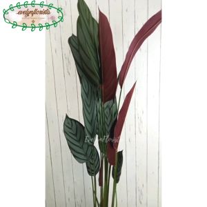 Pohon Hias Daun Calathea Ungu T150 Latex Artificial Pot Dasar Hitam Cover Anyaman Rotan Bulat Dekorasi Caffe