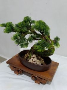 Tanaman Bonsai Hiasan Mini Artificial Tanpa Perawatan