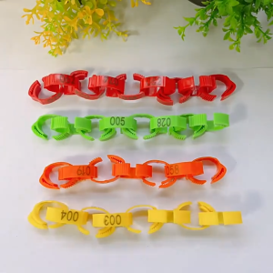 ส่งเร็ว ห่วงขาไก่ 50 ชิ้น ห่วงขาไก่ชนเเปรับขนาดได้ ห่วงข้อเท้าไก่ ใช้ซ้ําได้ ป้องกันการลื่นไถล หลากสีที่สามารถปรับไก่ขาวงดนตรีประจำตัวแหวนแหวนเท้าไก่ อุปกรณ์ไก่ชน ThaiJOY