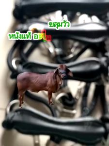 ขลุมวัว สแตนเลสแท้ 100% ปลีก/ส่ง จากโรงงานโดยตรง