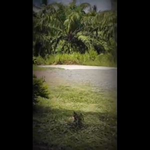 Motor Dudukan Telepon Stang Anti-Pencurian & Alarm Sepeda Pemegang Ponsel