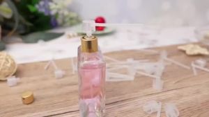 10 Pcs 5ml Transparent Plastic Perfume Sample Transfer Bottle Refillable Fragrance Sampling Dispenser