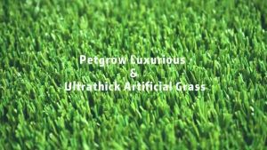 6M×2.5M｜5M×2M Premium Artificial Grass Green Carpet 30MM Fake Lawn Turf Mat with Dewatering Hole