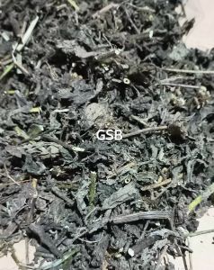 Daun bandotan kering 500 gram