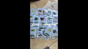 Benih Bibit Biji Sayur dan Buah Isi Ratusan Berkualitas