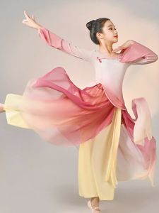 Classical Dancing Dress Female Elegant Gauze Clothes Chinese Classic Dance Grading Exercise Clothing Children Body Charm Fairy Elastic Performance Costumes