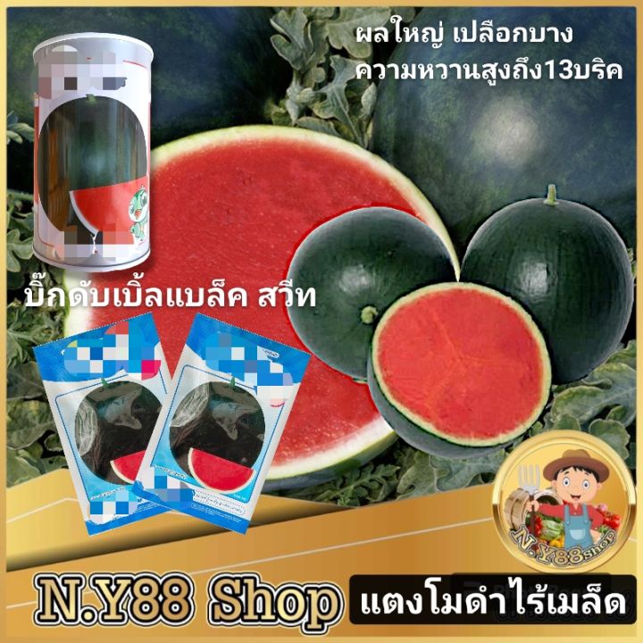 เมล็ดพันธุ์แตงโมดำใหญ่ไร้เมล็ด F1 บิ๊กบับเบิ้ลแบล็ค