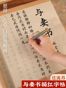 Long Calligraphy Set for Beginners Womens Gift Adult Practice Kit 520 Ceremony Calligraphy Book Writing Brushes Paper