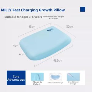 Memory Foam All-Season Children Pillow
