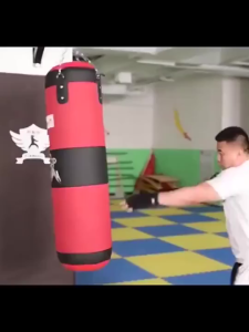 Fitness Sandbag with Gloves 80–120CM Punching Bag for Adults Kids Heavy-Duty Boxing Training Bag for Home Gym Durable Hanging Kickboxing Equipment