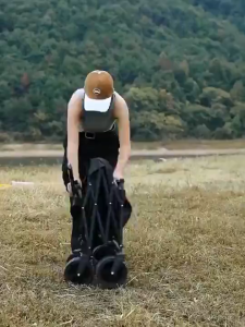 Nearra Multifunctional Outdoor Folding Wheelbar Family Picnic Beach Shopping Tool Wheelbar Wheelbar