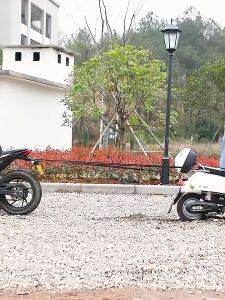 Tali Bagasi Motor 2 Meter: Aksesoris Motor Berkualitas