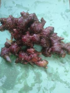 Jahe Merah 1kg 35.000