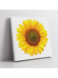 Korean Style Sunflower Decorative Square Painting