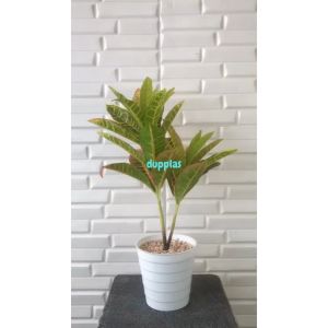 Pohon Plastik Puring Worten X2 T50 Semi Latex Artificial Pot Ulir Putih Tanaman Hias Dekorasi Rumah Hiasan