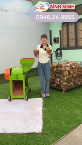 Máy xay mụn dừa B300