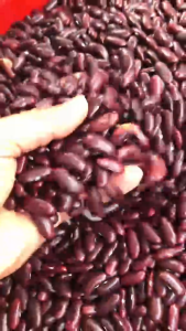 (1kg) ĐẬU ĐỎ TÂY LOẠI TO NGON BỞ ĐÙNG NẤU CHÈ LÀM BÁNH...