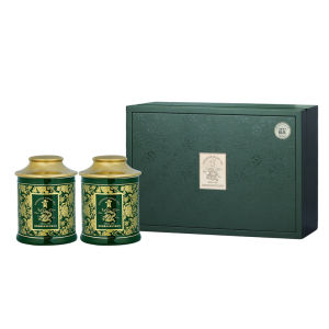 Fresh New Pre-Qin Quality First Pluck Dragon Well Tea Gift Box