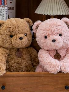 Hug Bear Plush Toy Teddy Doll Comfortable Stuffed Animal Childrens Birthday Gift Female Version Soft PP Cotton Filled Doll