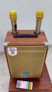 Loa karaoke chính hãng AZPRO AZ-V11 bass 25tặng 2 mic không dâyThùng gỗ