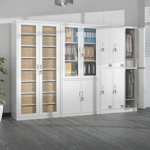 Office Steel Storage Cabinet