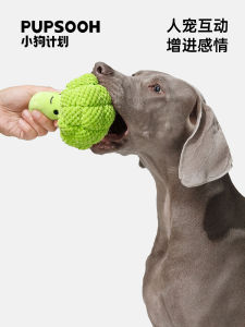 Simulated Broccoli Dog Toy Sound Making Interactive Plush Doll Puppy Teeth Grinding Teeth Cleaning Boredom Buster Pet Supplies