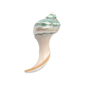 Hộp Đựng Thìa Vỏ Sò Ngọc Trai Oakliving Sang Trọng Đơn Giản Sáng Tạo Đựng Đồ Dùng Gia Đình Cao Cấp Bằng Nhựa