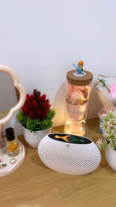 Notale Mini Dehumidifier Portable Air Dryer Serap Kelembapan Rechargeable Battery Dry Humidifier Kapasitas 150ml NTL-MD1