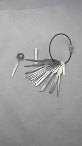 〔NN77〕21-in-1 Set Pro Tools Universal Padlock Repair Kit Portable Metal Daily Lock Maintenance〔W7〕