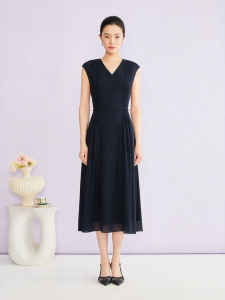 Elegant V-Neck Pleated Waistless Chiffon Dress