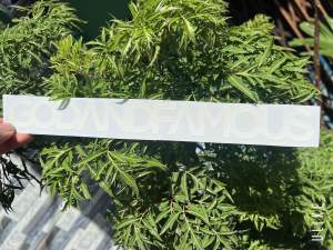 Tem in nhiệt uv & GODANDFAMOUS ( 3X29cm ) in công nghệ nhật bản sắc nét bền màu chịu nhiệt tốt. Siêu bám dính