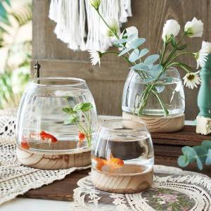 Short Wide Mouth Clear Japanese Simple Style Glass Vase